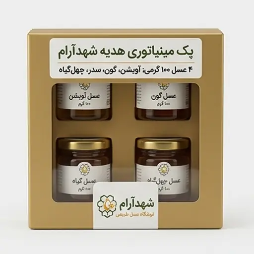 پک مینیاتوری هدیه (۴ عسل ۱۰۰ گرمی)